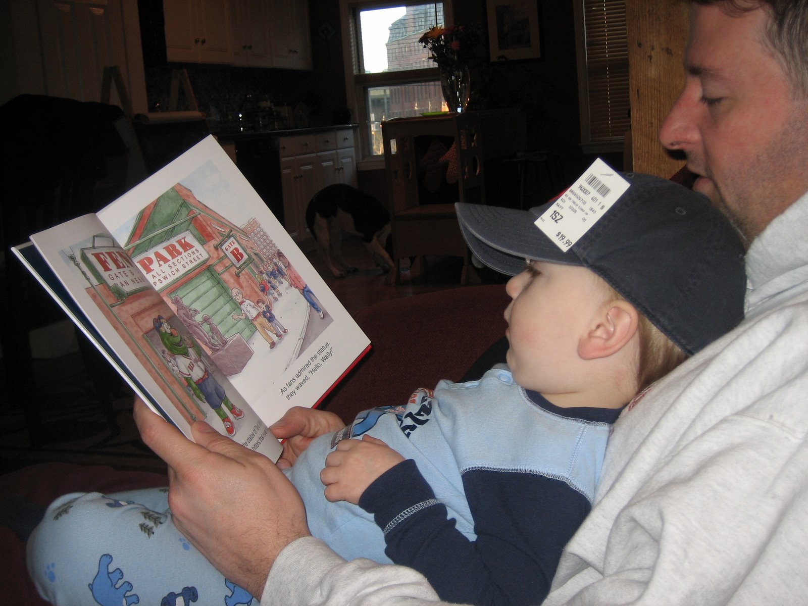 [Red+Sox+hat+and+Wally+book.jpg]