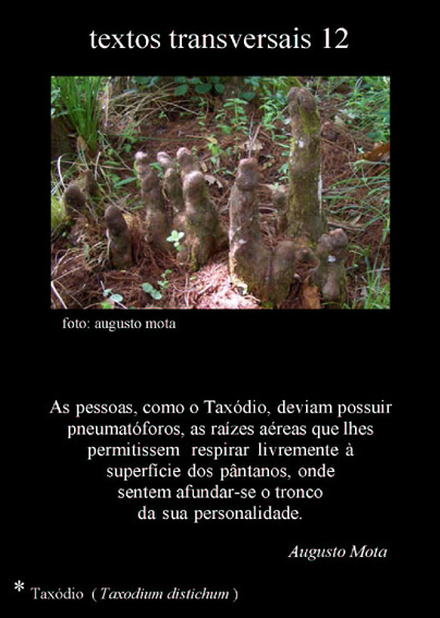 [Textos+transversais+12.jpg]