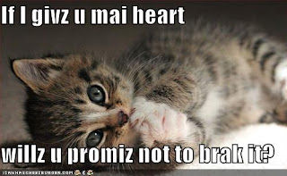 Cat In People Felinesophy People Cat Human Kittens The