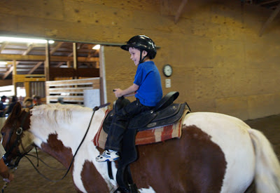 Black Horse Stable - Hillsborough, NJ