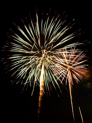 Hillsborough Fireworks 2008