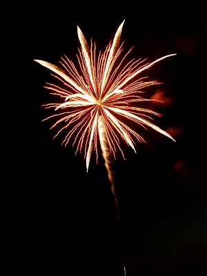 Hillsborough Fireworks 2008