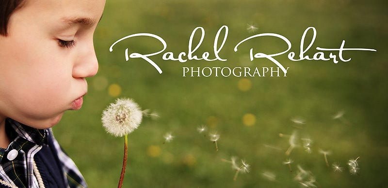 Rachel Rehart Photography-Utah Family, Wedding, Child, Newborn, and Autism photographer