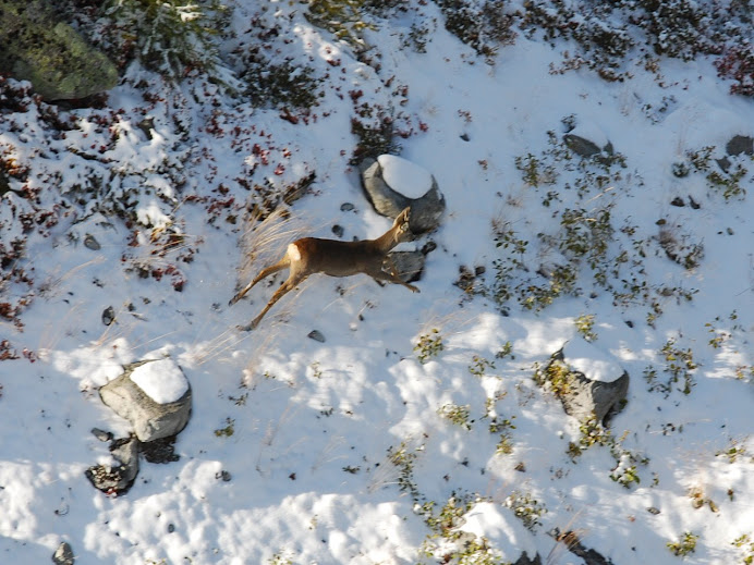 Le 3 Octobre 2008, A LA VEILLE DE L'OUVERTURE DE LA CHASSE