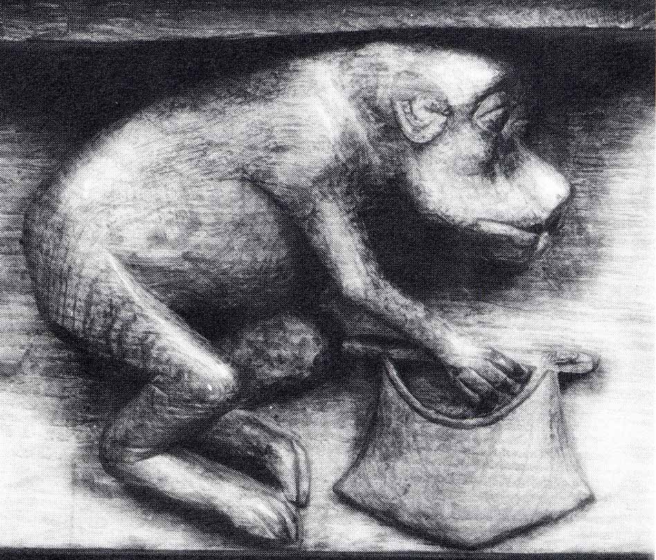[macaco-ladrão-2.jpg]