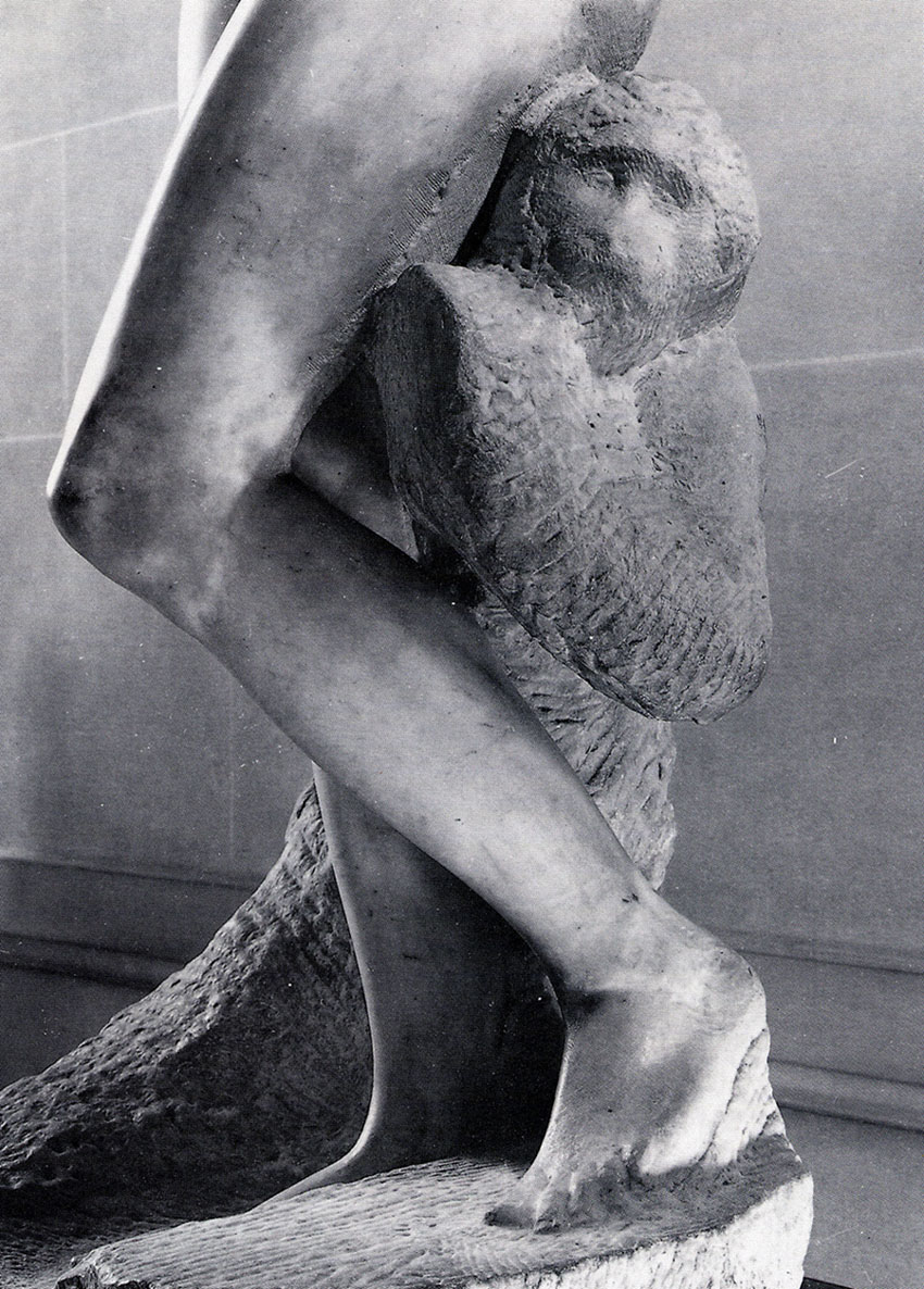 [escravo+com+macaco.JPG]