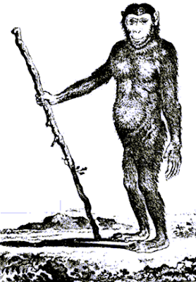 G. L. L. de Buffon, Natural History, General and Particular (London, 1875), trans. William Smellie, vol.8