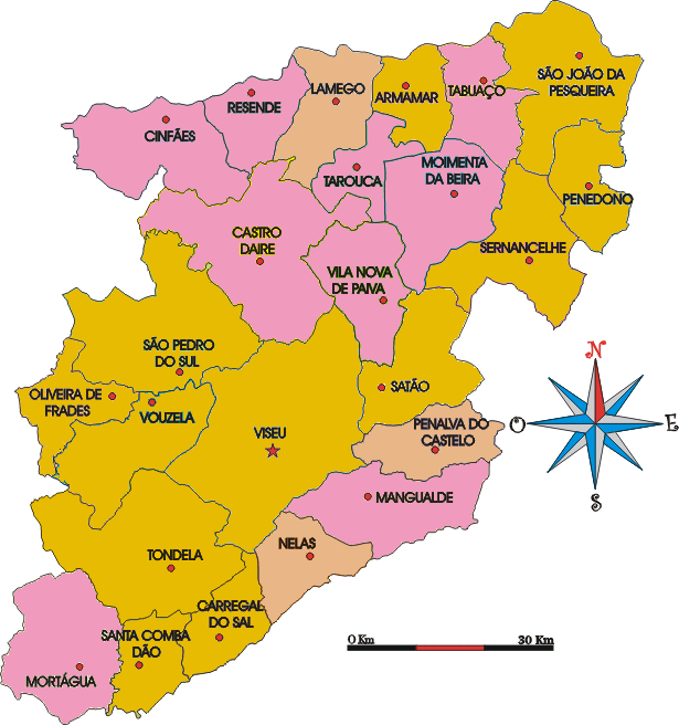 [DIST-viseu.gif]