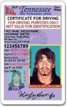 Oh Drivers License