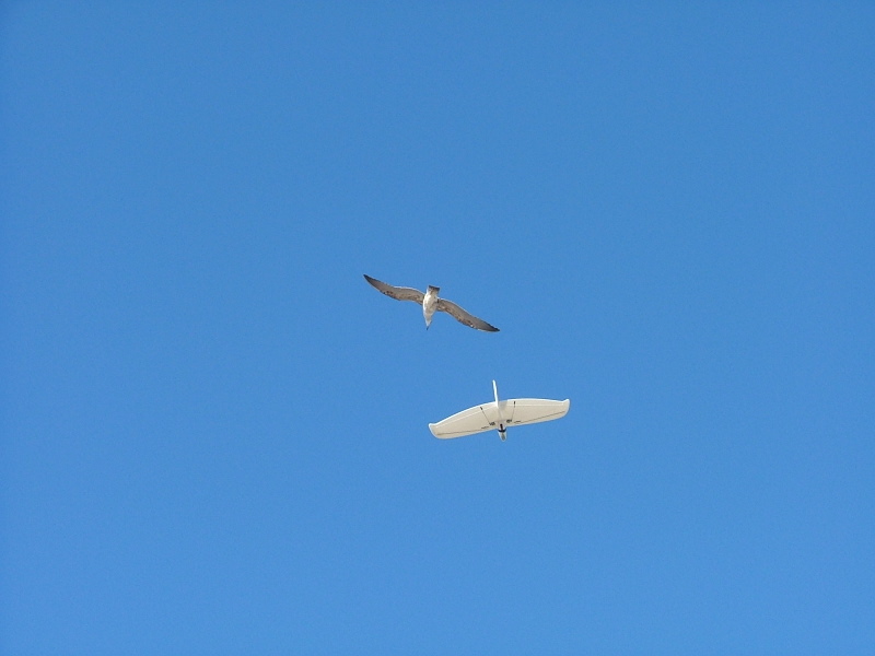 DSCF7451.JPG