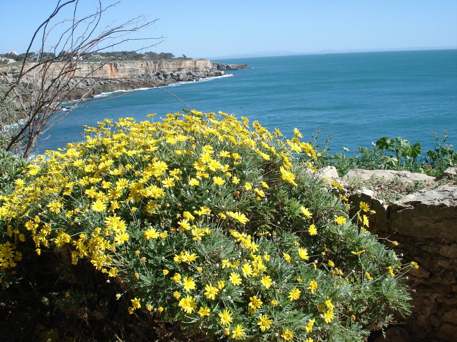 [DSC01087.JPG]