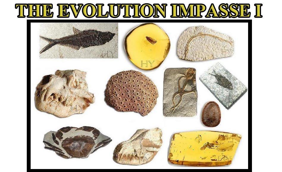 THE EVOLUTION IMPASSE I