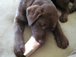 Bones too??!!