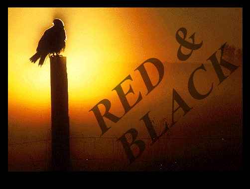 red&black
