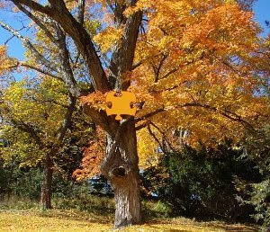 puzzles games online