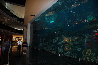 Dubai+mall+aquarium+diving