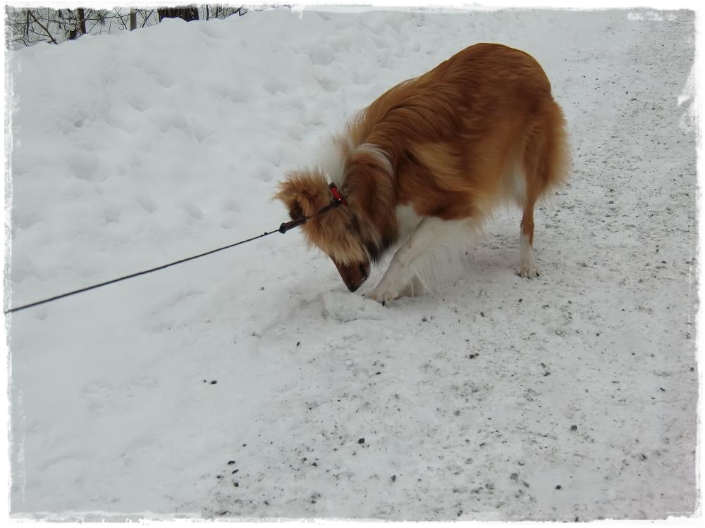 [milla+snö+ram.jpg]