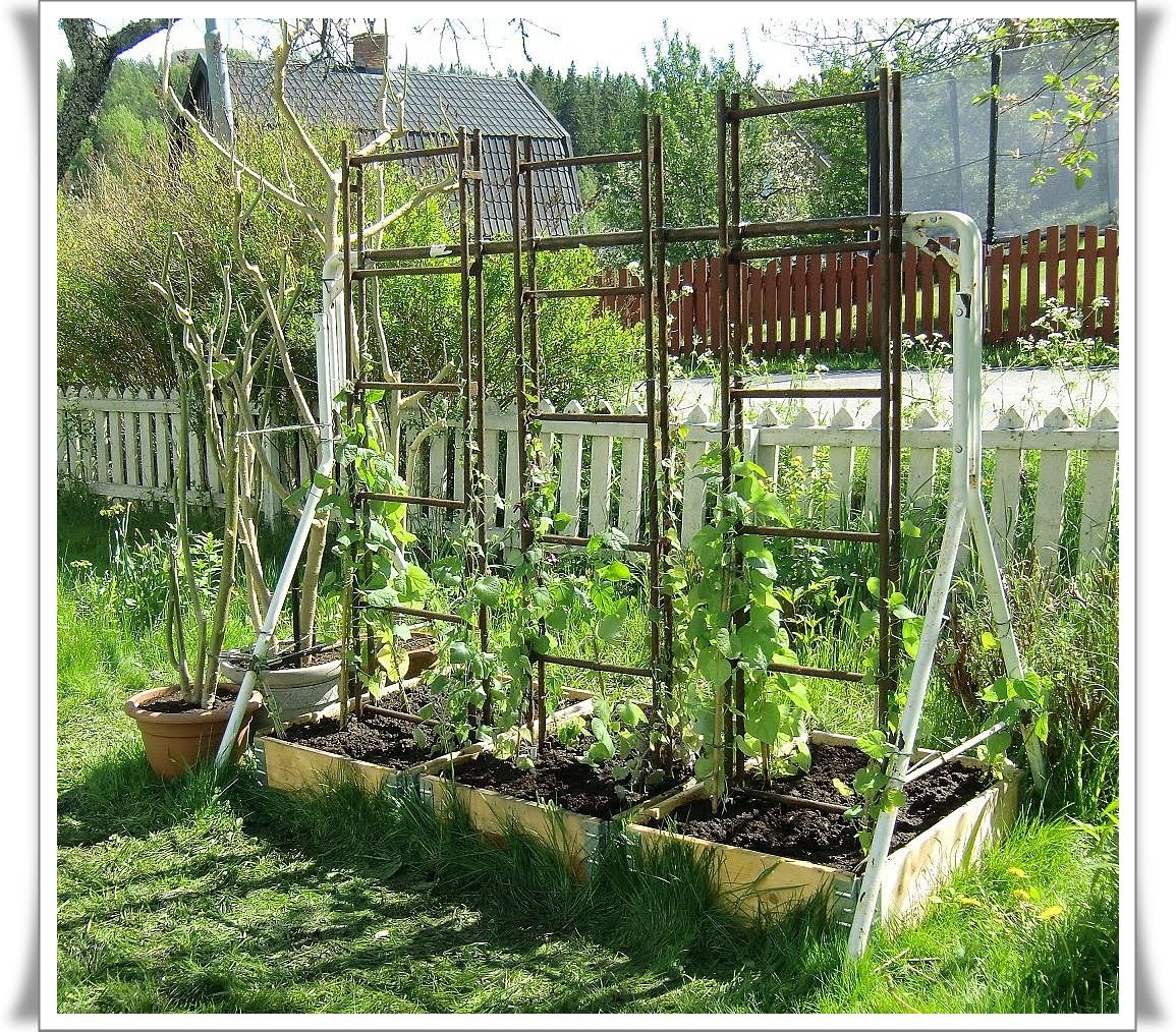 Blomster: den gamla hammockställningen har fått stegar och ...