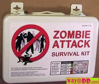 funny-pictures-zombie-survival-kit-1cs.jpg