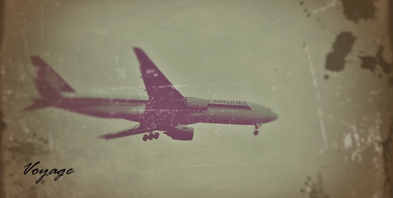voyage.escape.freedom
