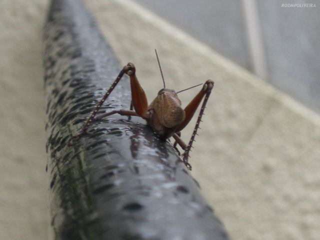 [img3.jpg]