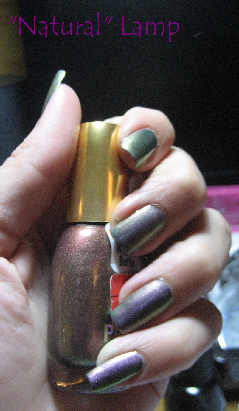 [IMG_7249+cropped.jpg]