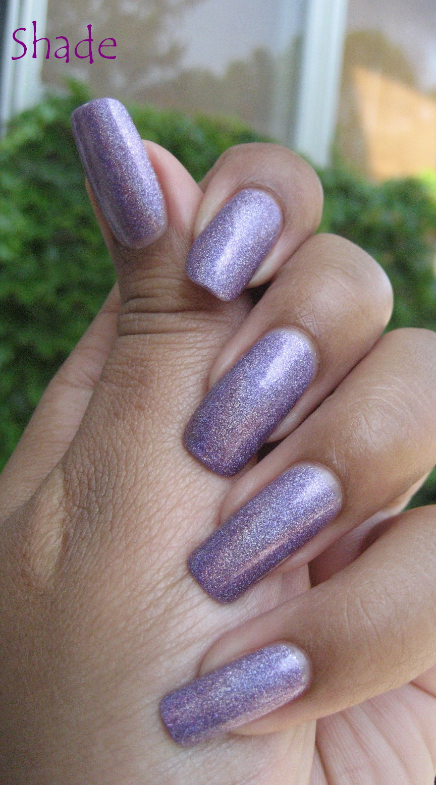 [IMG_7432+cropped.jpg]