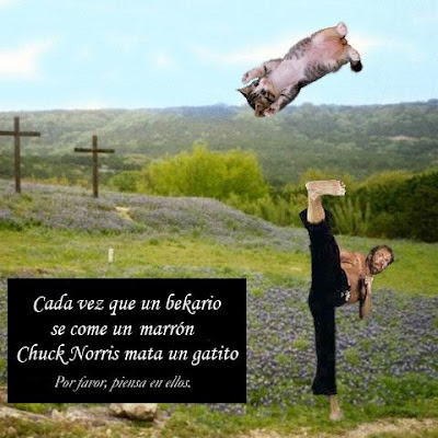 Chuck Norris matando gatitos