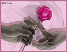 Uma flor para uma rosa