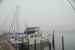 Waiting out the fog in Carrabelle