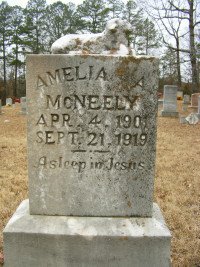 [Amelia+A+McNeely.jpg]