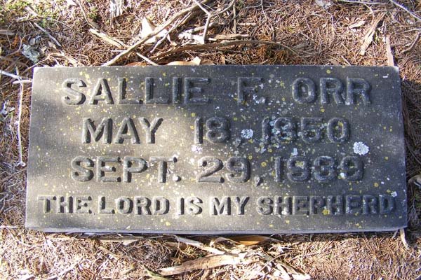 [Sallie+E_edited-1.jpg]