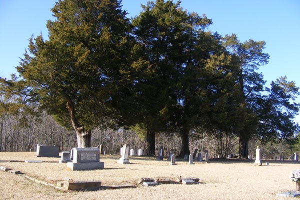 [Cedars+in+Cemetery.jpg]