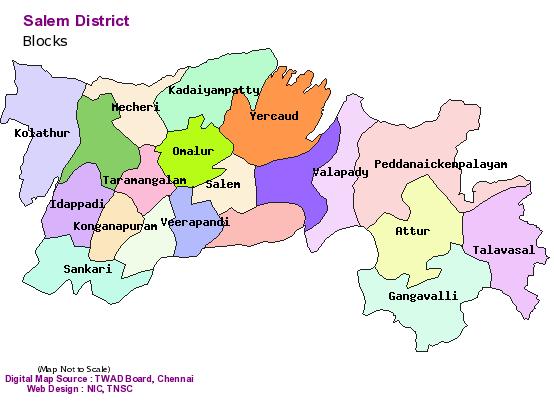 Truth about Fitness: SALEM DISTRICT