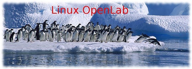 linux-openlab
