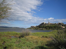 Bages, just south of Narbonne