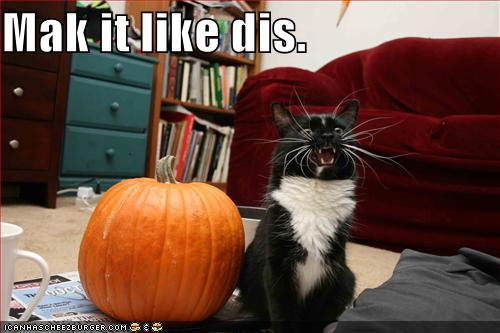 perfect Halloween pumpkin funny pumpkin pictures. perfect Halloween pumpkin