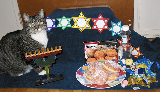 Cats Celebrating Hanukkah.