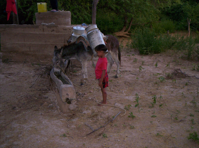 Pozo de agua en IPAPURE