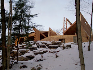 View of Log Home From Lake