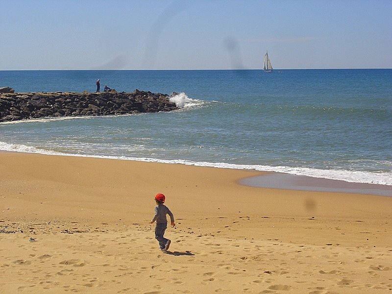 [DSC08027.JPG]