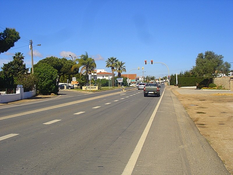 [DSC08004.JPG]