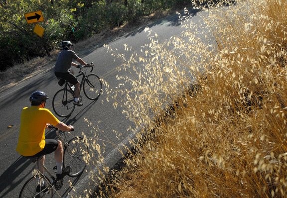 [20a+solanocycycleclub.jpg]