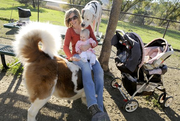 [30a+dogpark.jpg]