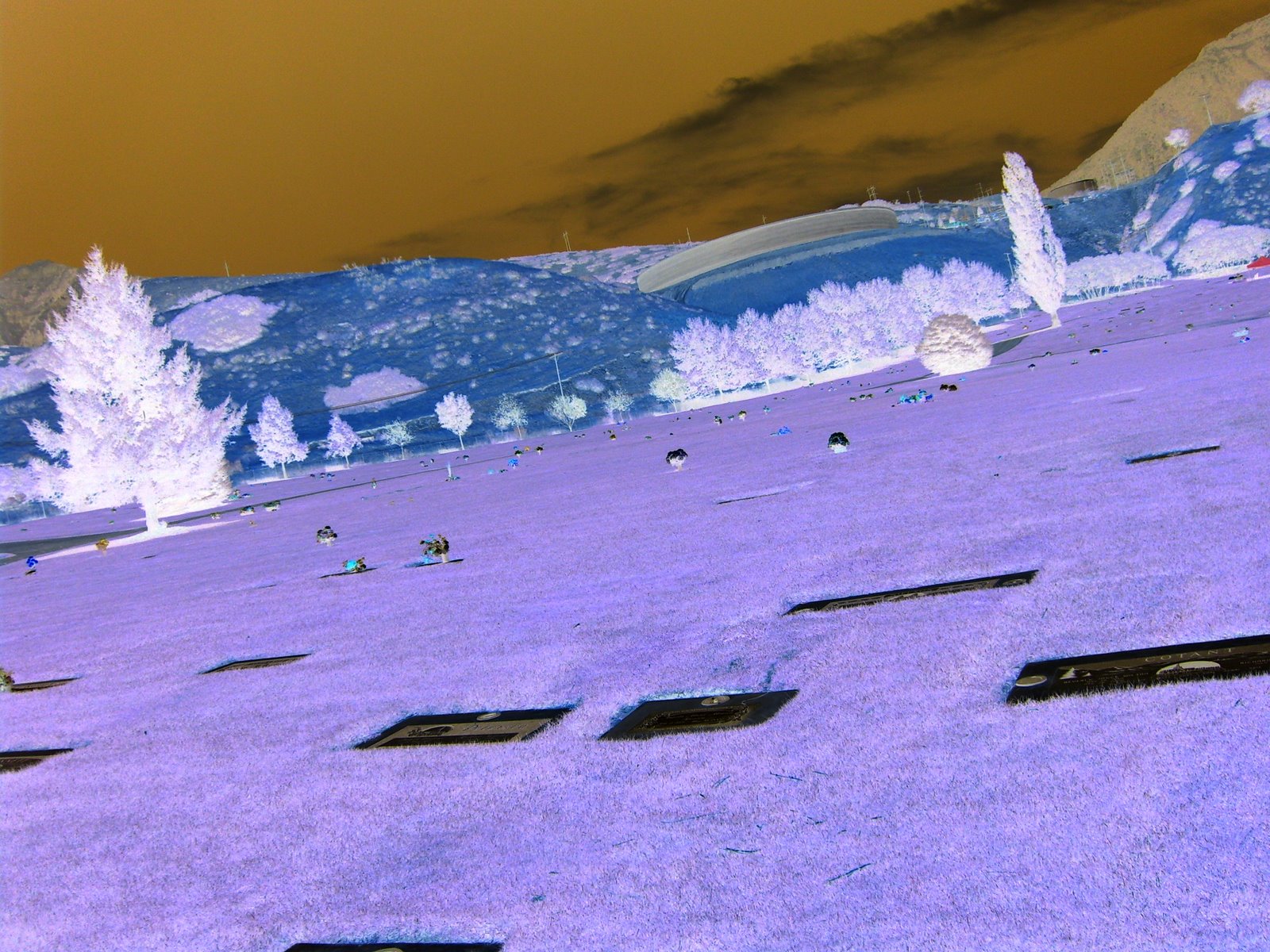 [cemetery+negative+2.JPG]