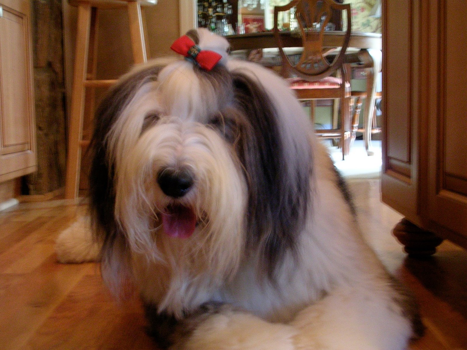 Spinning Dog fur into Keepsakes
