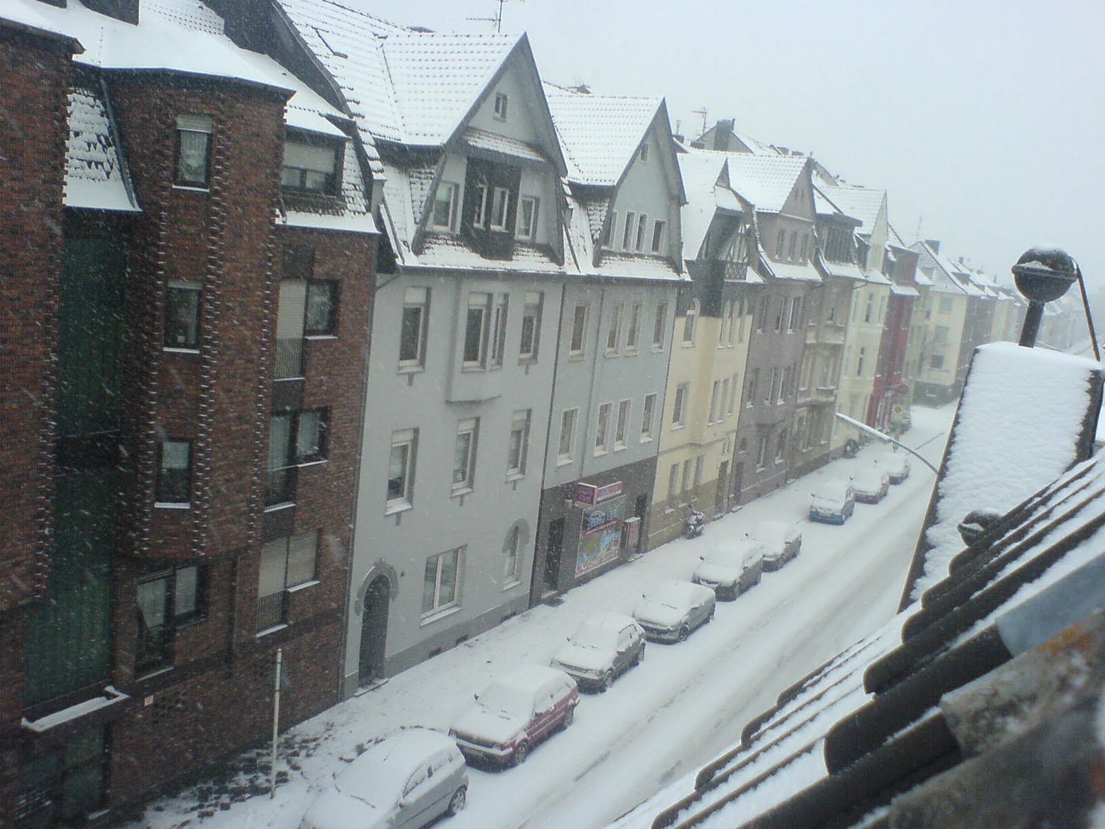 [DSC00228.JPG]
