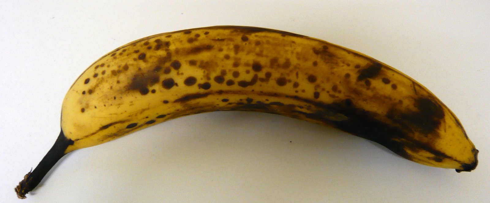 [P1010240.JPG]