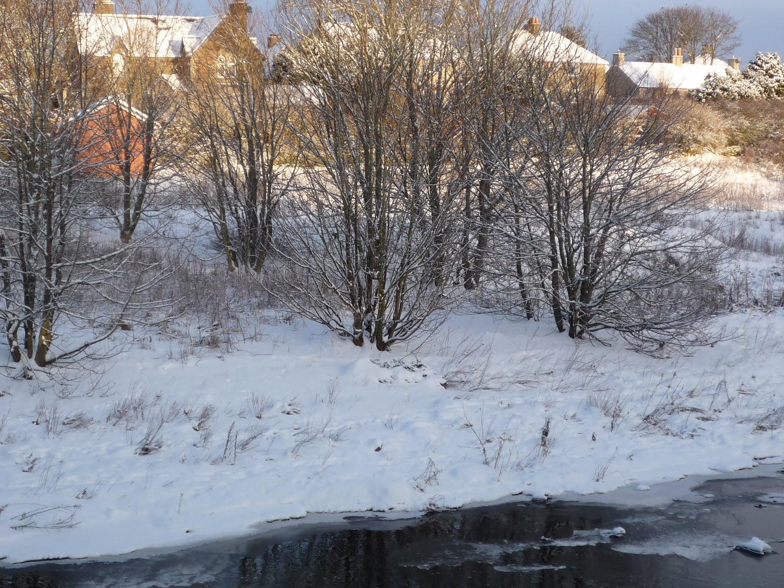 [winter+008.JPG]
