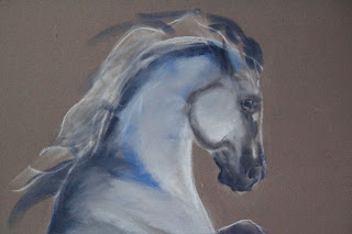rearing grey arabian horse in pastel